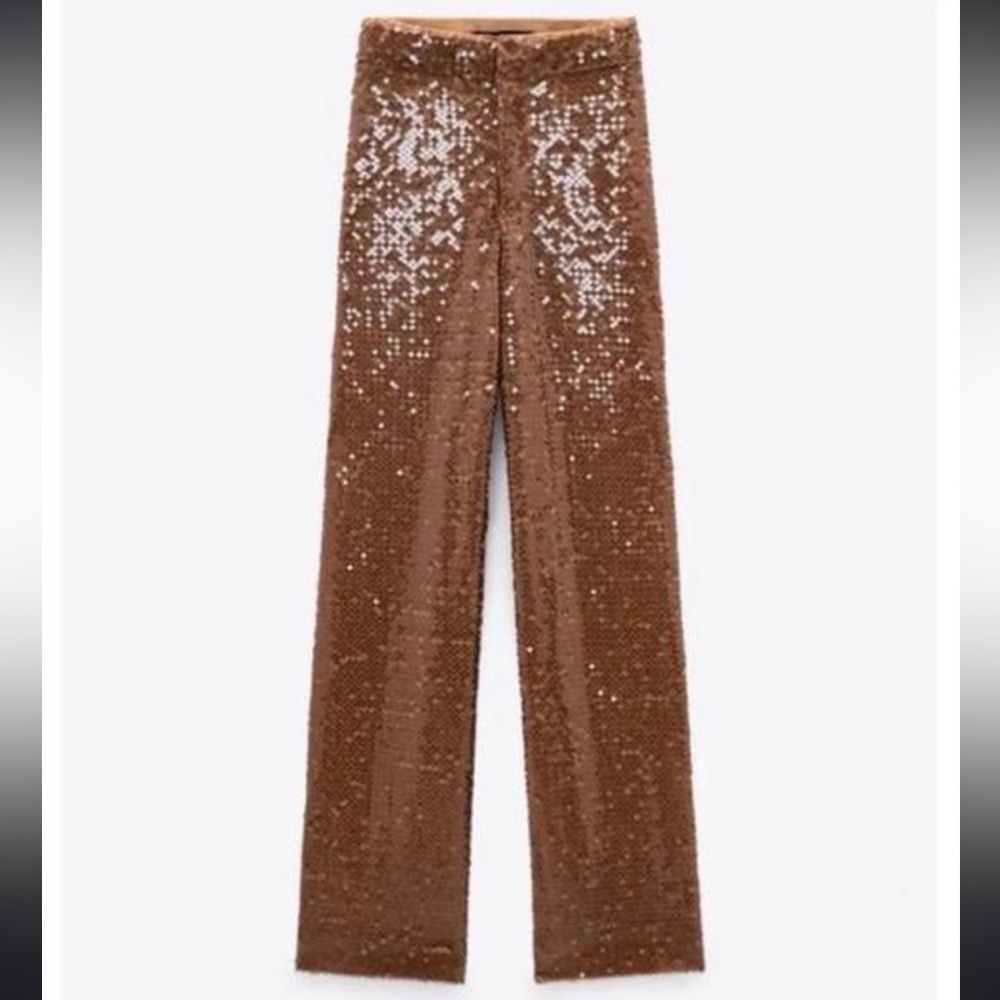 Zara Brown Sequin Pants - Picture 10 of 11
